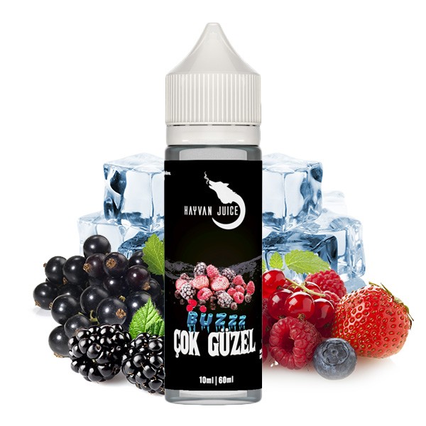 Cok Güzel - HAYVAN JUICE - Aroma 10ml in 60ml Flasche